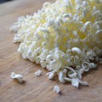 Asiago Cheese Bacon Scuffins with Dried Cranberries and Simple White Bread – Quite Possibly the World’s Longest Blog Post Title!