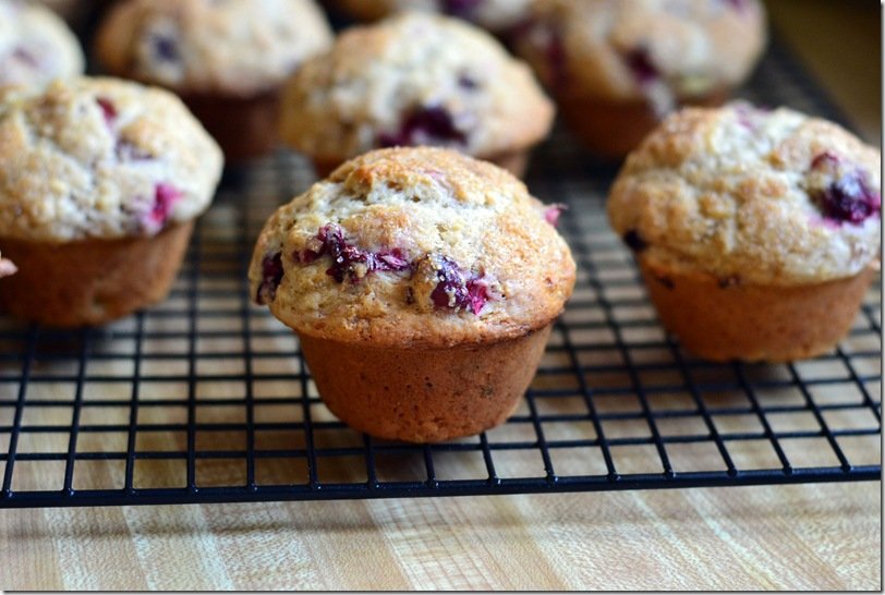 cran muffin 005